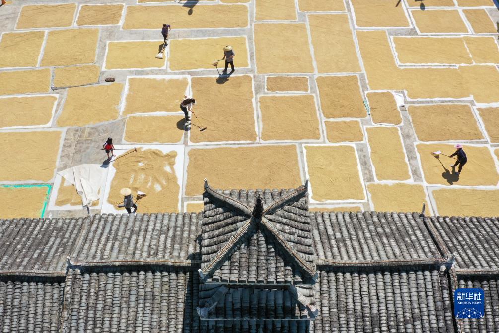 捕鱼上下分微信号